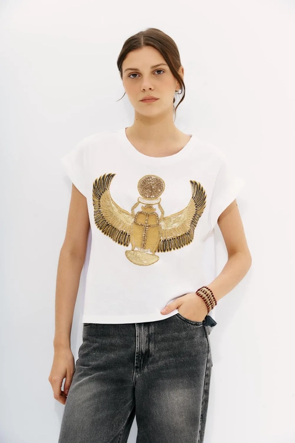 polera beetle