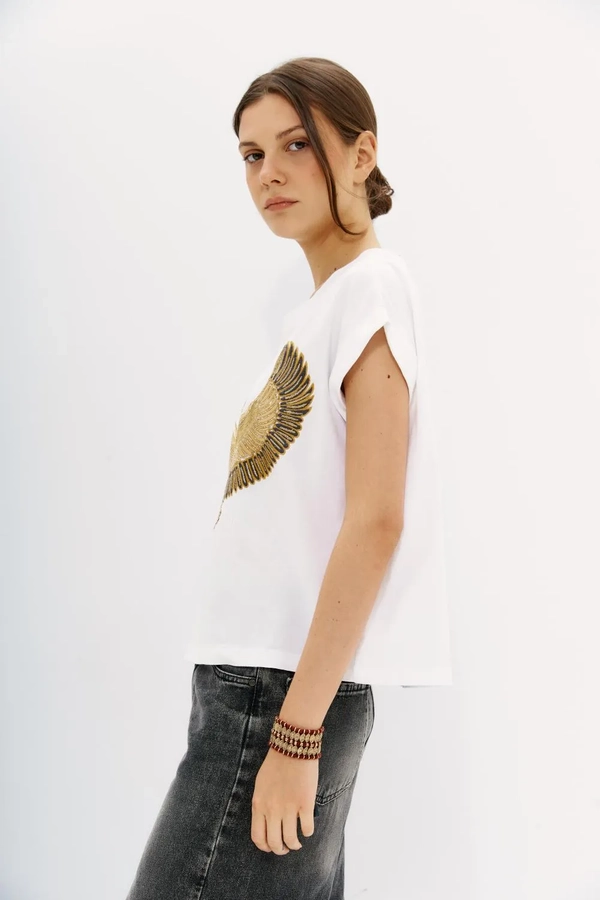 polera beetle