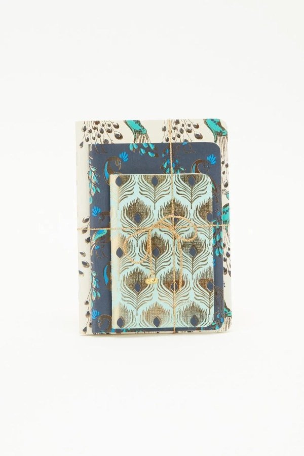 cuaderno peacock set x3