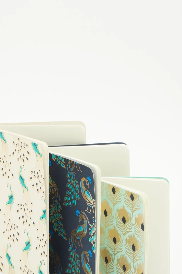 cuaderno peacock set x3