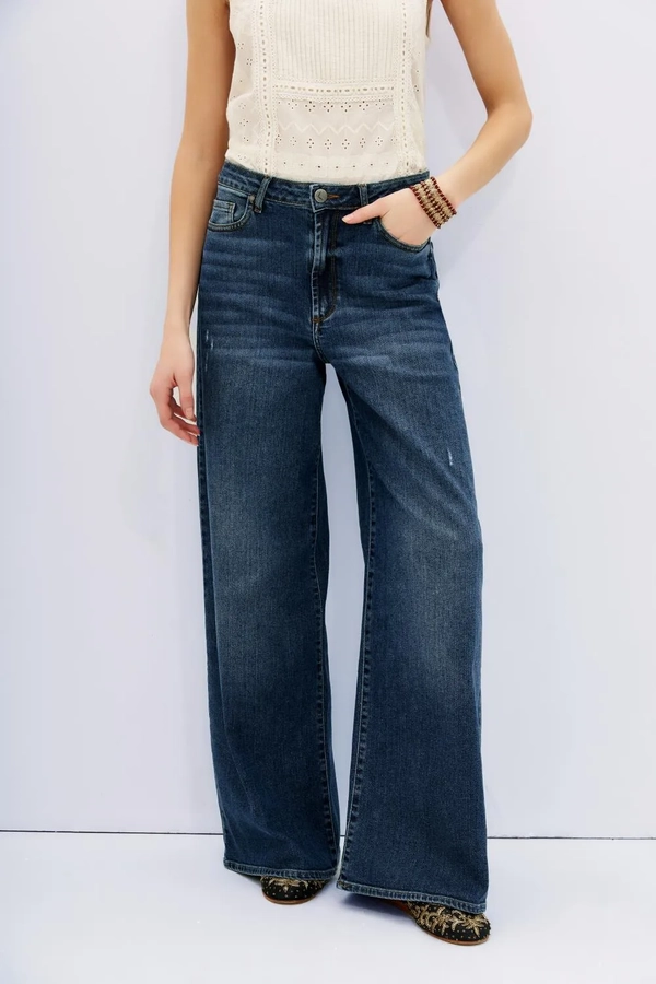 jean oxford blue